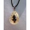 Kaulakoru Ground Beetle YD 0621